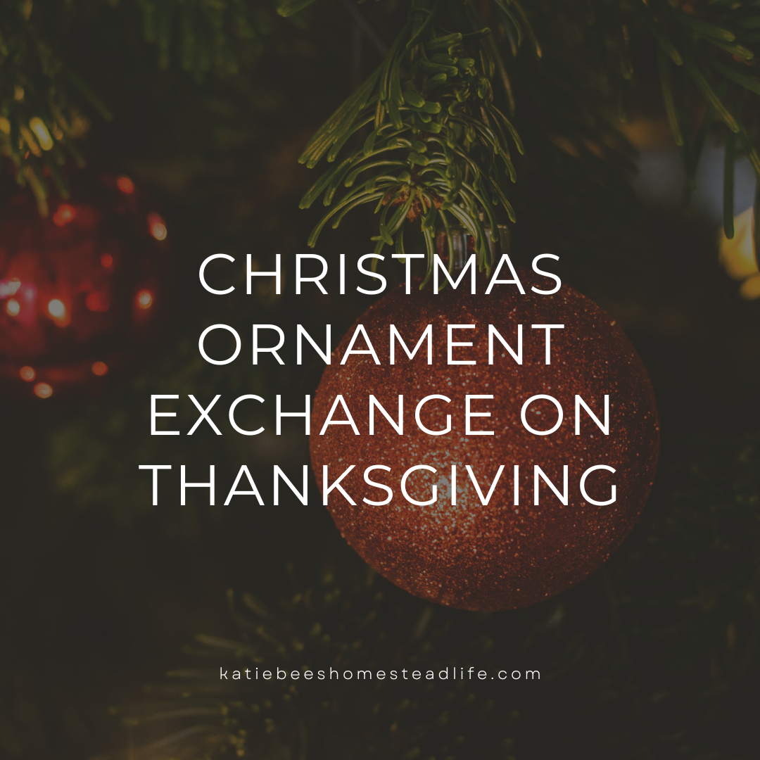 Christmas Ornament Exchange on Thanksgiving