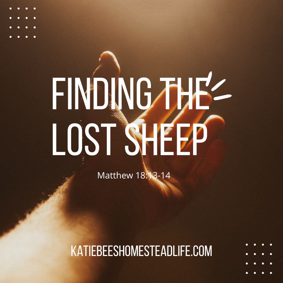 Finding the Lost Sheep: Lessons from Matthew 18:13-14