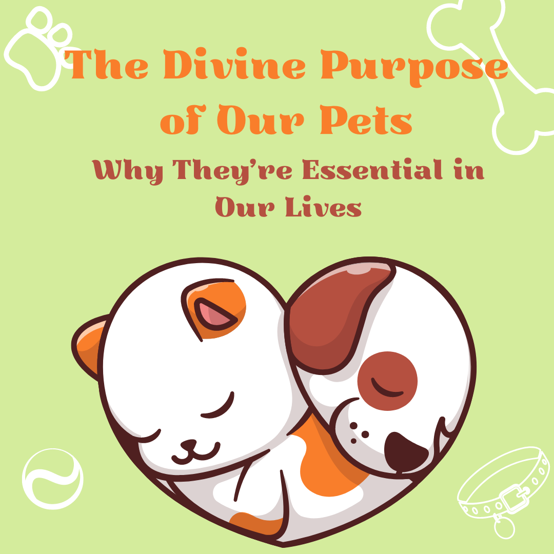 The Divine Purpose of Our Pets: Why They’re Essential in Our Lives