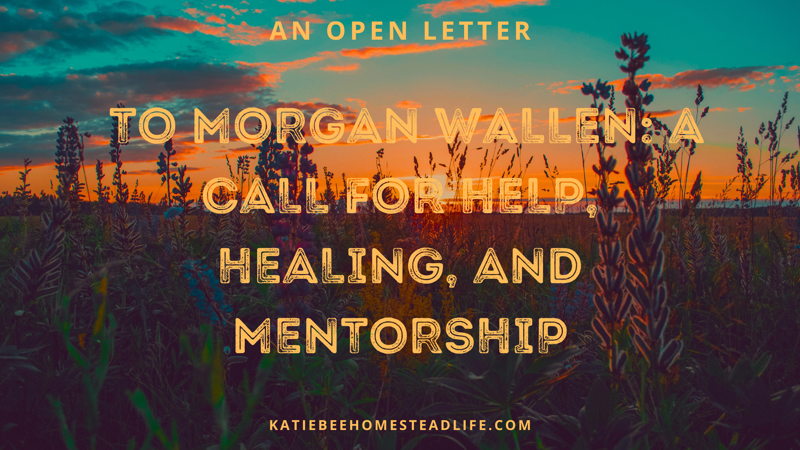 An Open Letter to Morgan Wallen: A Call for Help, Healing, and Mentorship